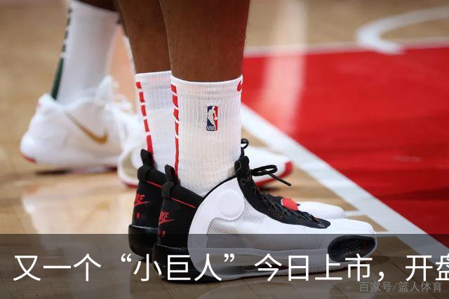 又一个“小巨人”今日上市，开盘涨48.82%，一手赚991元